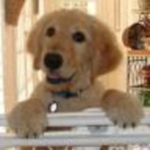 Meet your Posher, Jan